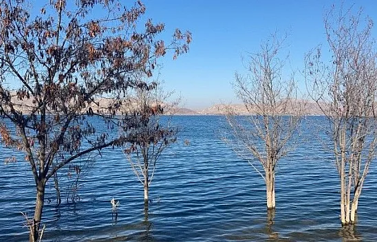 Hazar Gölü'ndeki yükselen su seviyesi dikkat çekti