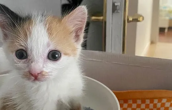 Siz siz olun sakın bunu yapmayın!