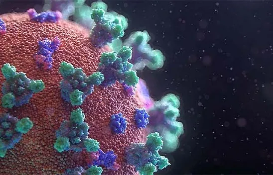 Son 24 saatte 228 kişi hayatını kaybetti