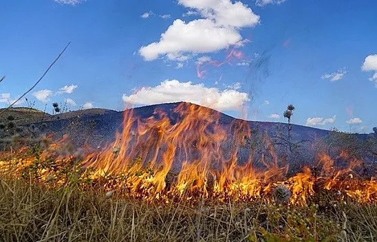 Son dakika... Elazığ'da korkutan yangın!