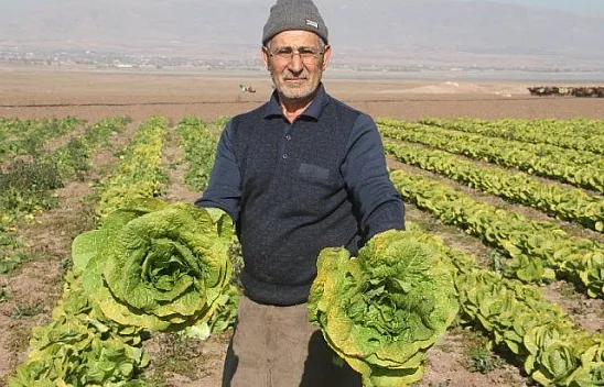 Çiftçiler o araziyi fırsata çevirdi