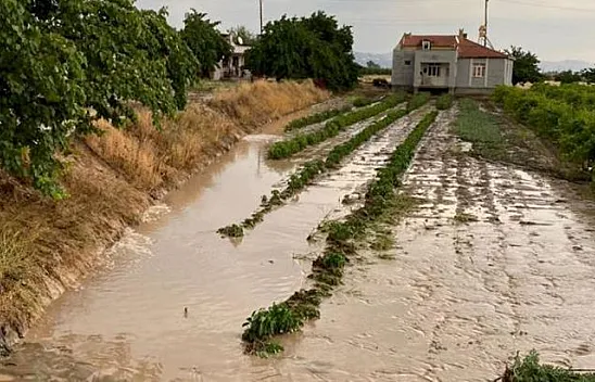Tarım arazilerini sel vurdu