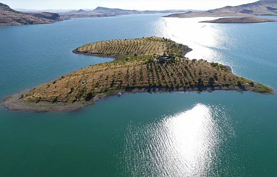 Tek kelime ile 'Harika'