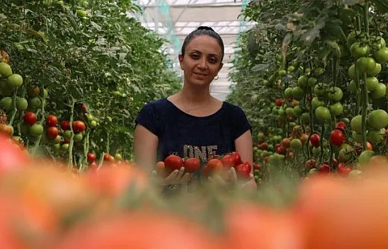 Topraksız tarım hem kadınlara iş kapısı oldu