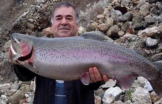 Türkiye ve Avrupa'nın en büyük alabalığı Elazığ'da yakalandı