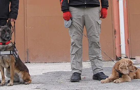 Uyuşturucu tacirlerinin korkulu rüyaları