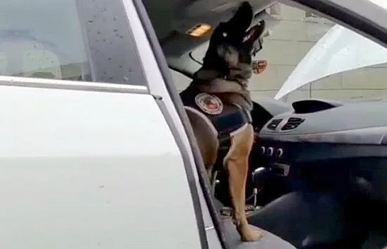 Uyuşturucuyu bakın nereye saklamış