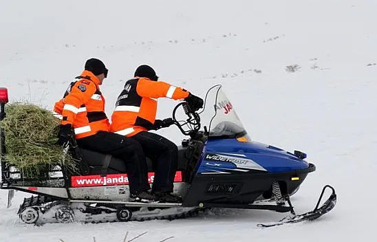 Yaban hayvanları için seferber olundu