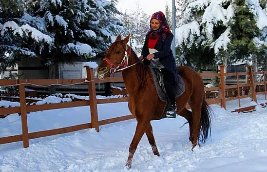 'Yapamazsın' dediler hırs yaptı, Elazığ'ın tek kadın seyisi oldu