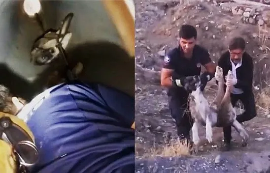 Yaralı köpeğin yardımına itfaiye yetişti