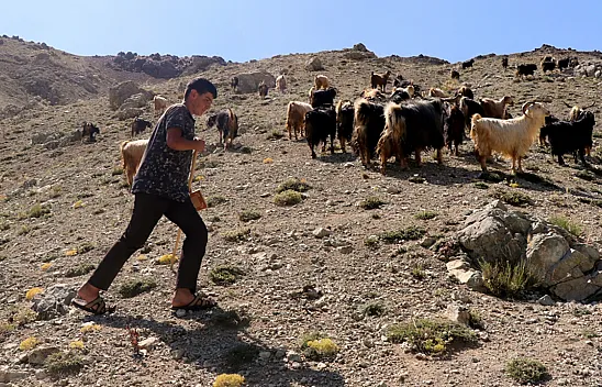 Yaylada keçi otlatarak hazırlandığı LGS sınavında 494 puan aldı
