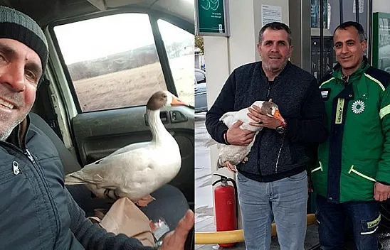 Yolda bulduğu kaz ile dostluğu içleri ısıttı