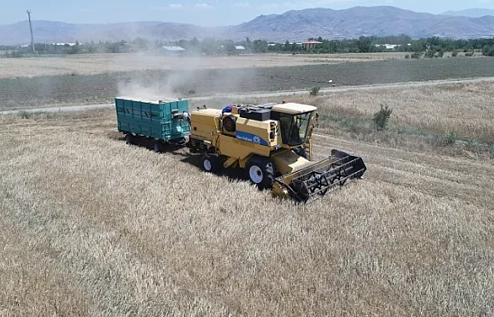 Biçerdövercilerin zorlu mesaisi