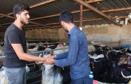 Kurban pazarında yoğunluk