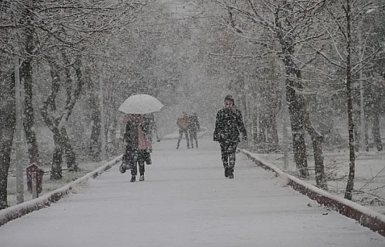 Elazığ'da kar etkisini gösterdi