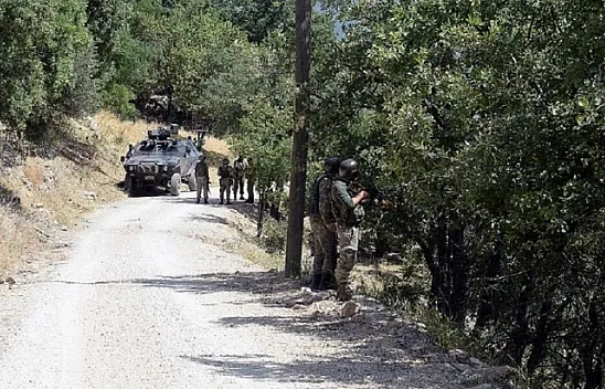 Tunceli'de eylem hazırlığındaki teröristler etkisiz hale getirildi