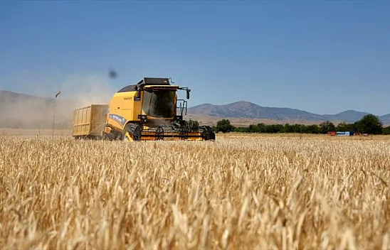 Yağışlar arpa ve buğdayda üretimi artırdı