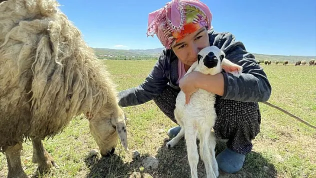 Devlet desteği ile sürü sahibi oldu