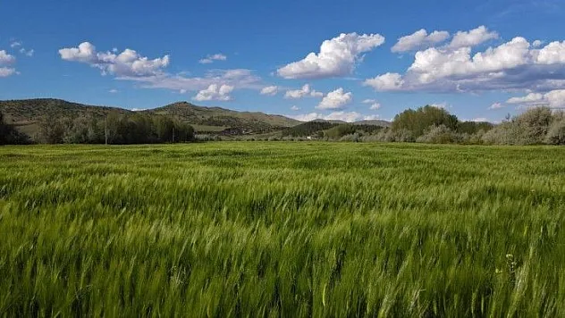 Yeşile bürünen Sivrice muhteşem doğasıyla cezbediyor