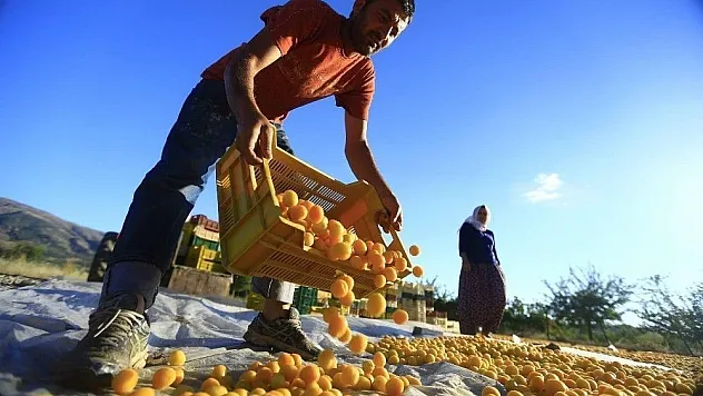 Mevsimlik işçi taşıma kuralları açıklandı