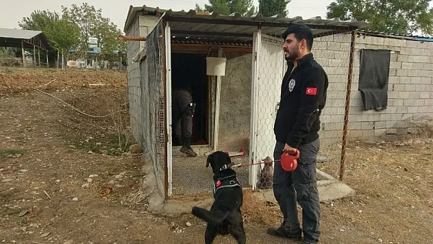 Güvercin kümesinde uyuşturucu bulundu