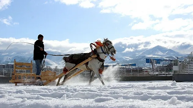 Geleneksel atlı kızak yarışları nefes kesti