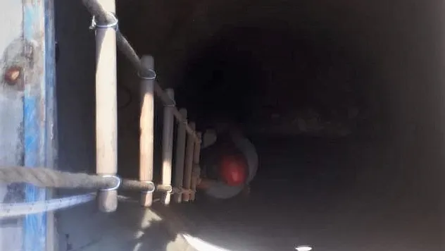 Kuyuya düşen kedi kurtarıldı