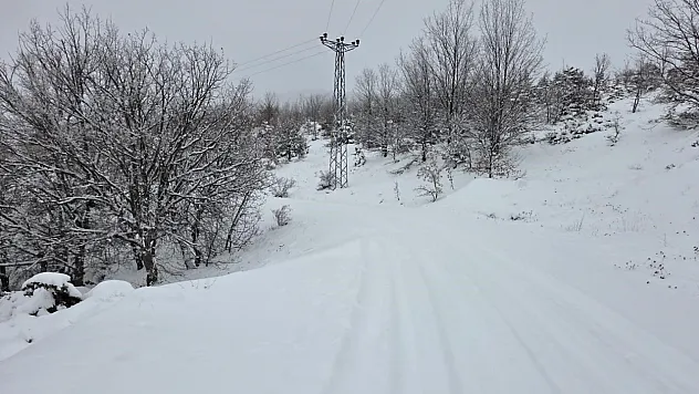 311 köy yolu ulaşıma kapandı