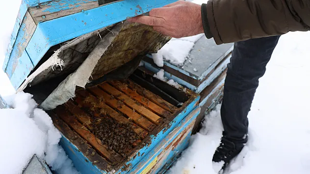 Arıcılar sezona umutla bakıyor