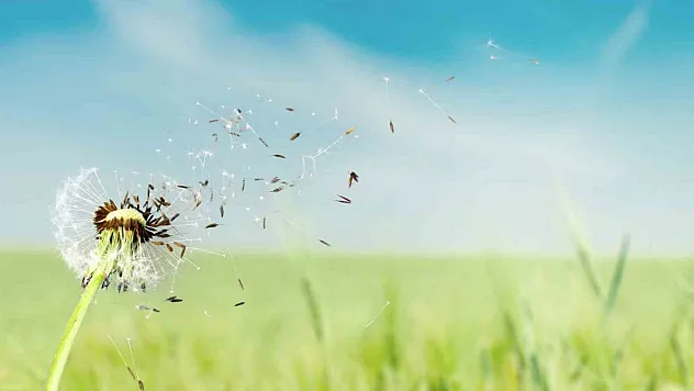 Bahar aylarında göz alerjisine dikkat