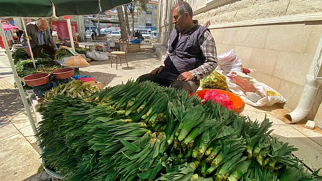 Çiriş otu tezgahlarda yerini aldı