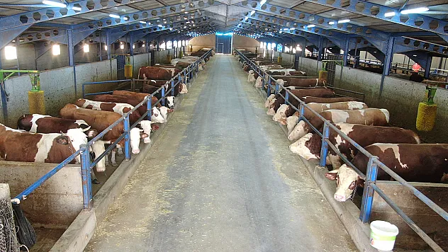 Devlet desteğiyle Elazığ'da büyüyen bir başarı hikayesi