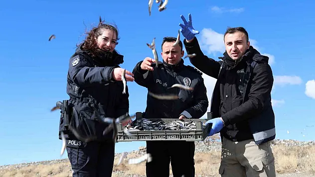 Ekipler martı ve tavşanları besledi