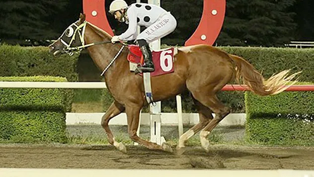 Elazığ'a 50 yarış günü