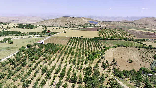 Elazığ'da 7 bin dekar alanda kiraz hasadı başladı