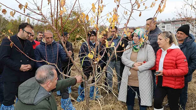 Elazığ'da ağaç budama ve aşılama eğitimi