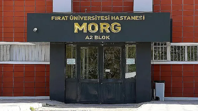 Elazığ'da nehre giren öğretmen boğuldu