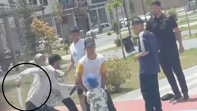 Elazığ'da parkta palalı saldırı