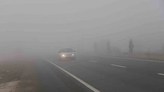 Elazığ'da sis etkili oldu