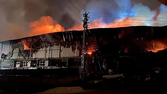 Elazığ'da tavuk fabrikasında korku dolu anlar!