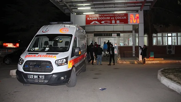 Cinnet getiren damat dehşet saçtı