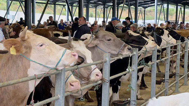 Kurbanlık harcaması rekor kıracak