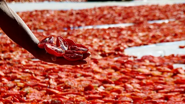 Kurutulan domatesler sofraları süslüyor