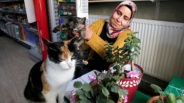 'Mestan' adını verdiği kediye 3 yıldır gözü gibi bakıyor
