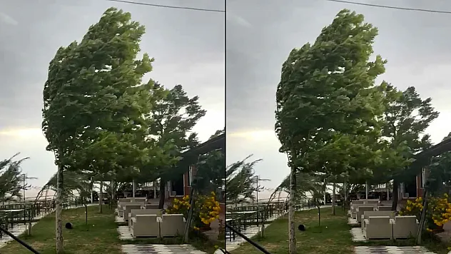 Palu'da fırtına etkili oldu