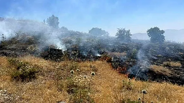 Sivrice'de otluk alanda yangın