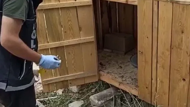 Tavuk kümesinden esrar çıktı