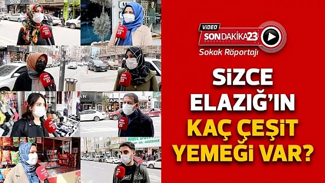 Sizce Elazığ'ın kaç çeşit yemeği var?