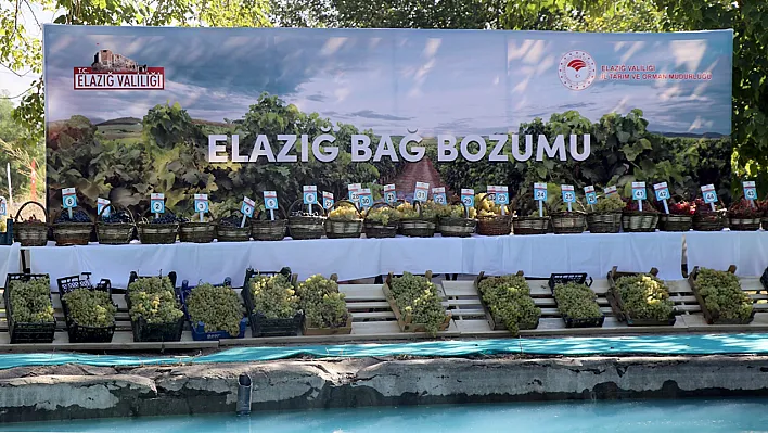 '17. Geleneksel Üzüm Festivali ve Bağ Bozumu' etkinliği yapıldı