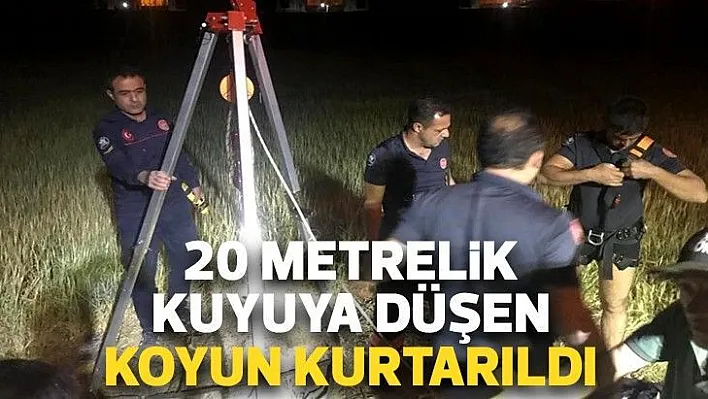 20 metrelik kuyuya düşen koyun kurtarıldı